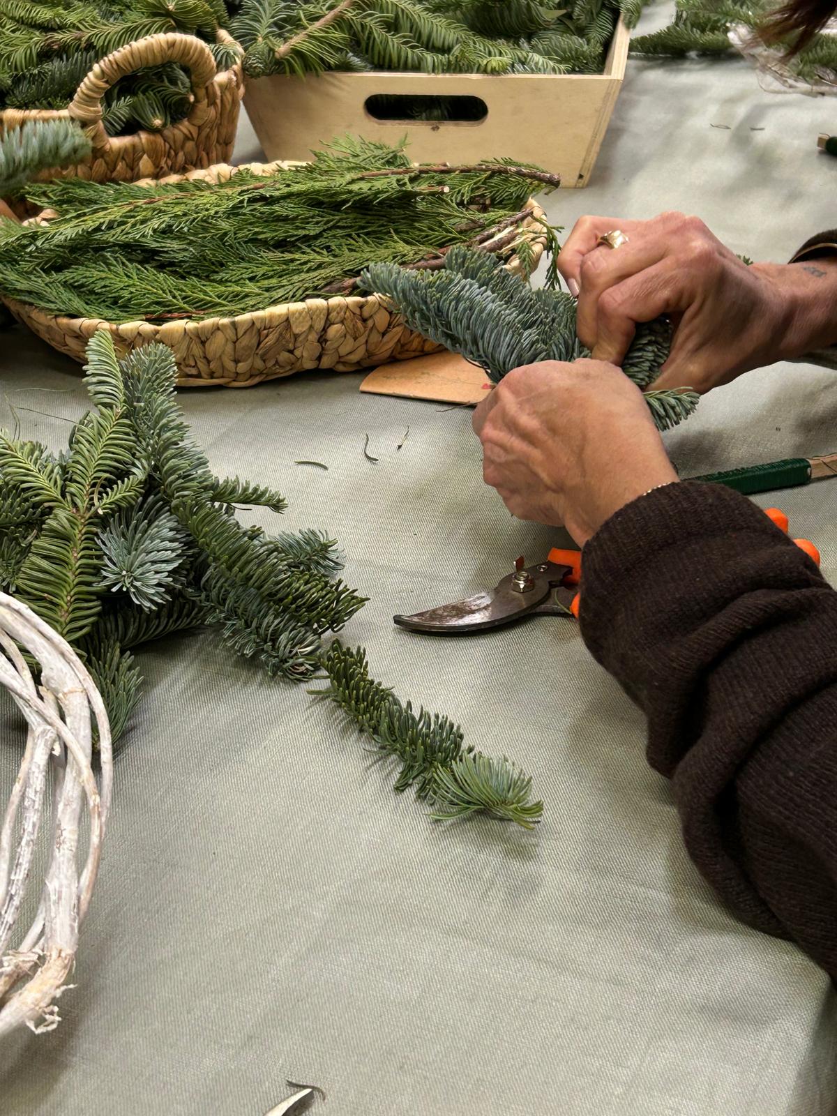 Workshop Tara a Lucca